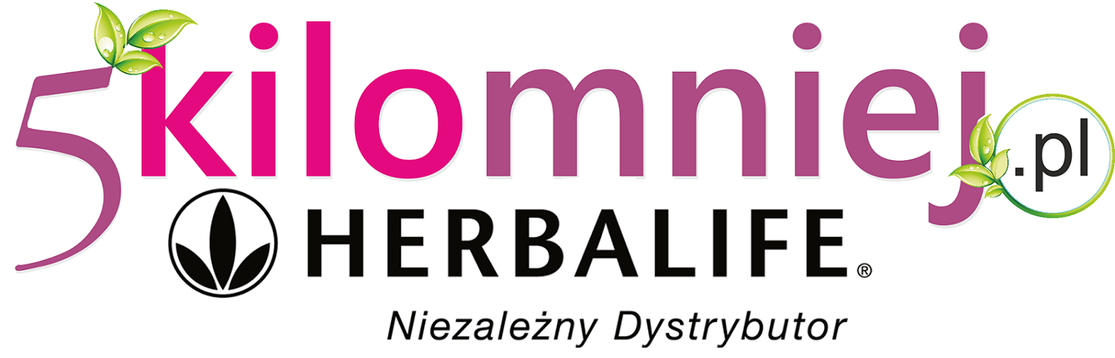 logo final 33.png